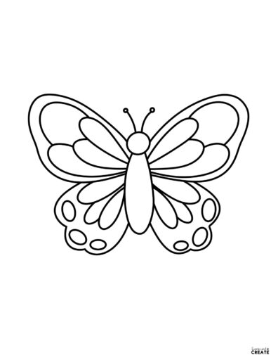 butterfly outline template