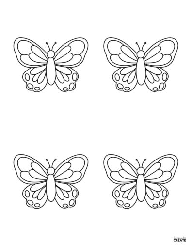 butterflies