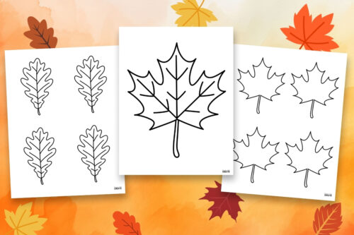 fall leaf template