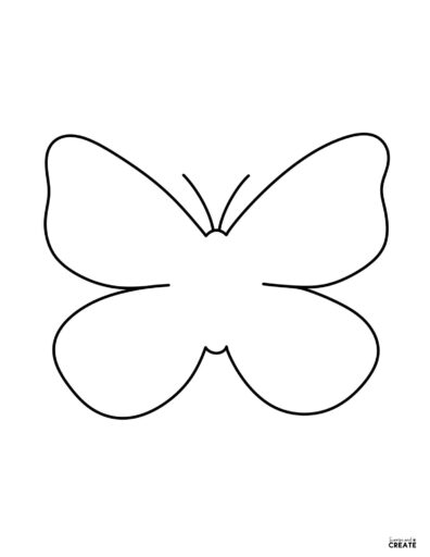 large outline of butterfly shape