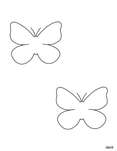 outline of butterfly shape
