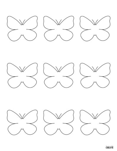 small outline of butterfly shape
